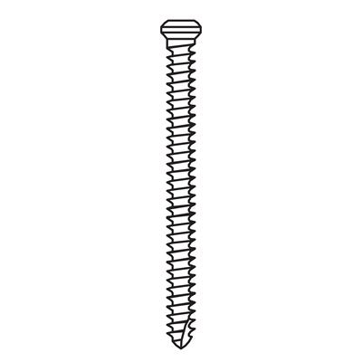 Black and white line drawing of a Meisinger Khouri Micro Bone Screw from the Meisinger brand, featuring a flat head and pointed tip with spiral threads along the shaft, displayed on a plain white background. Available as an individual pack of 3, these micro bone screws are typically used in procedures such as bone augmentation.