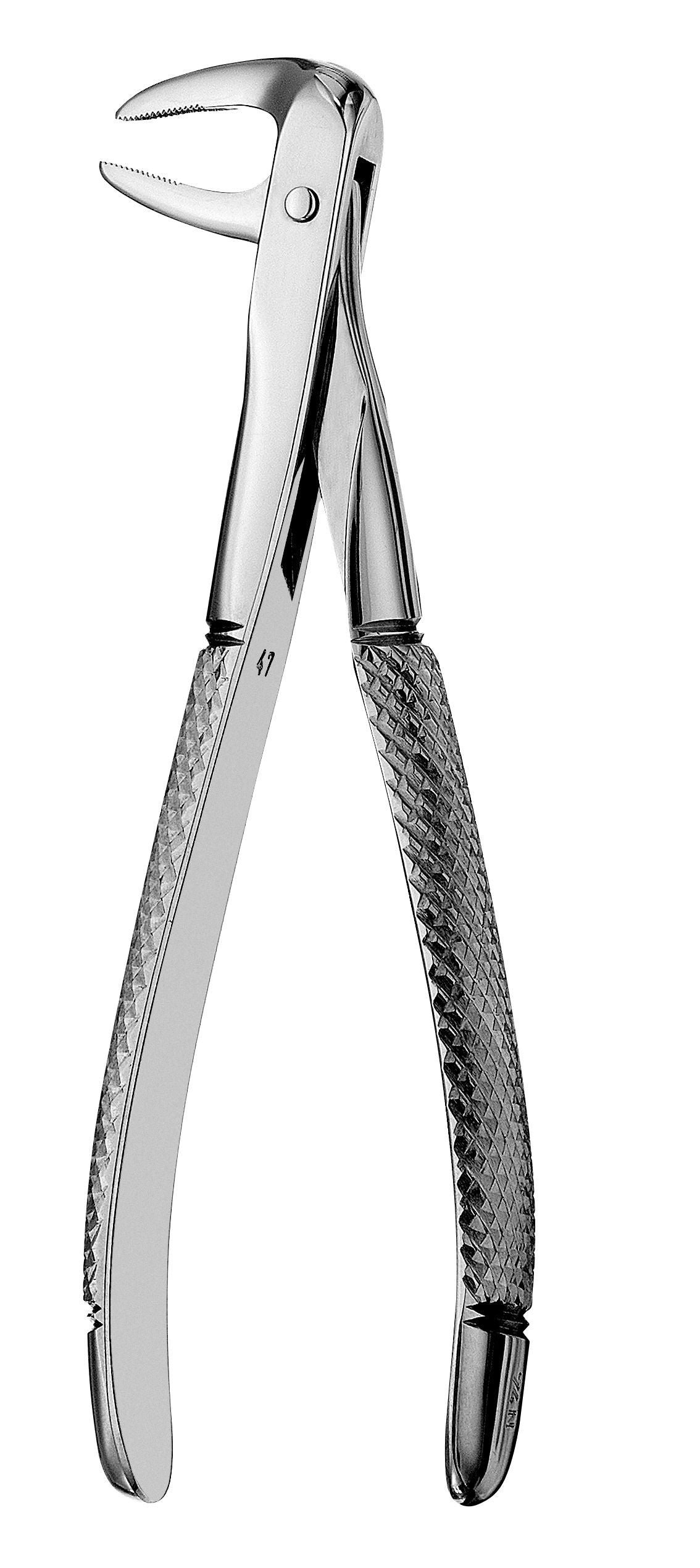 The Hu-Friedy #74N European Style Forceps, Serrated, features textured handles for a secure grip and is designed for tooth extraction, shown isolated on a white background.