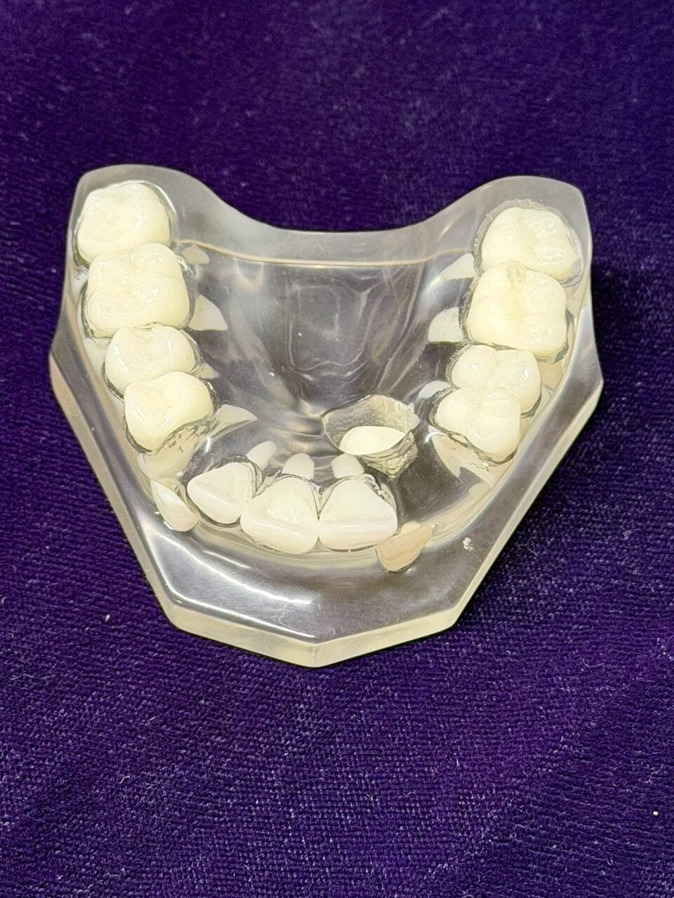 The Cusp-Lok Cuspid Exposure Model CLEAR BASE by Xemax Surgical Products Inc. shows an upper set of teeth with a matrix band on a clear base, displayed against dark purple fabric.