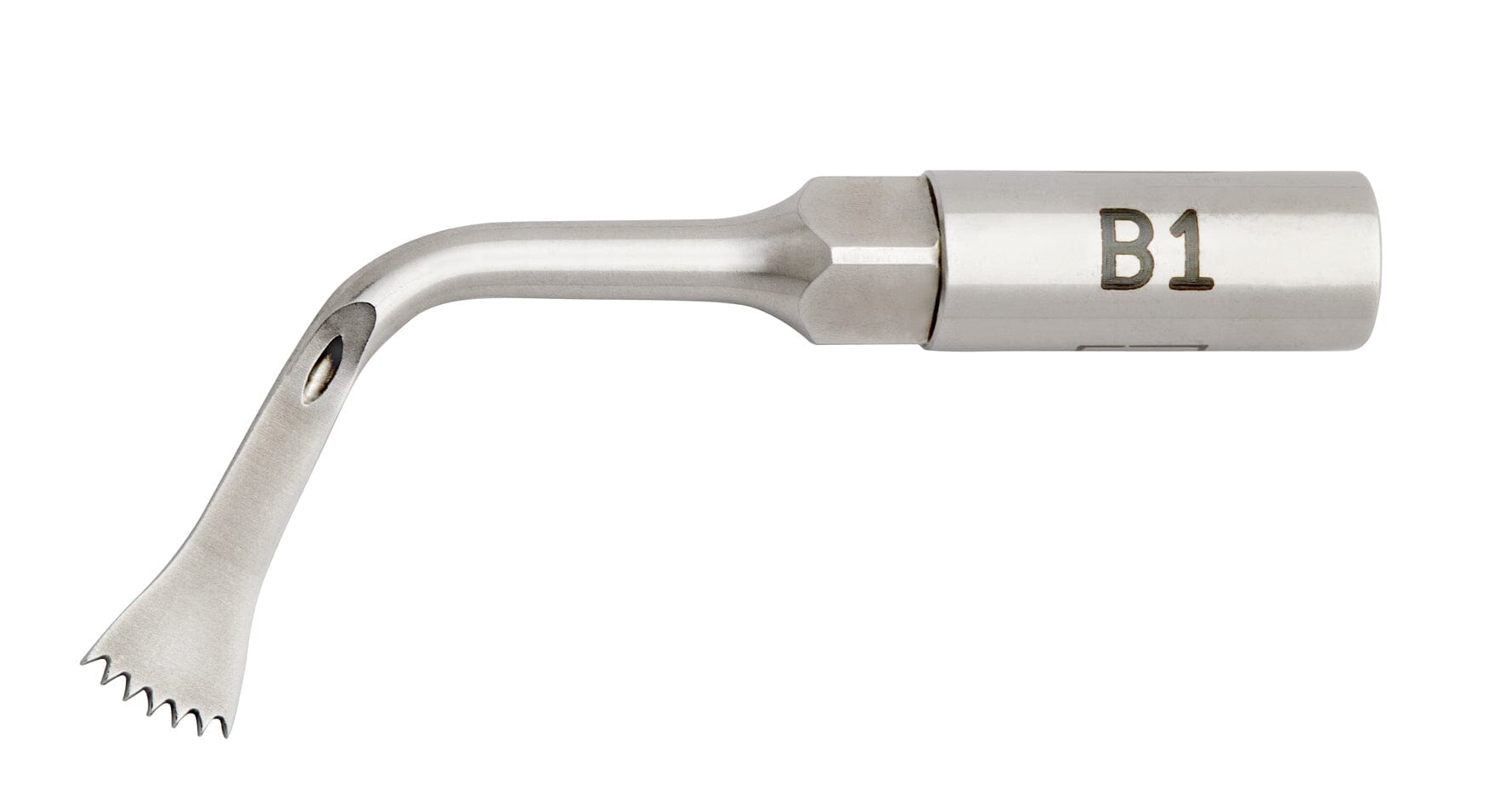 The W&H B1 tip for Piezomed is a stainless steel dental instrument with a curved neck and a flat, notched tip; "B1" is labeled near the handle.
