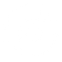 Regenerative