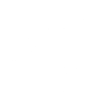 Sutures & Closure