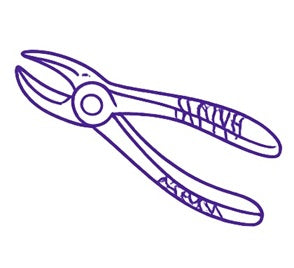 Extraction Forceps