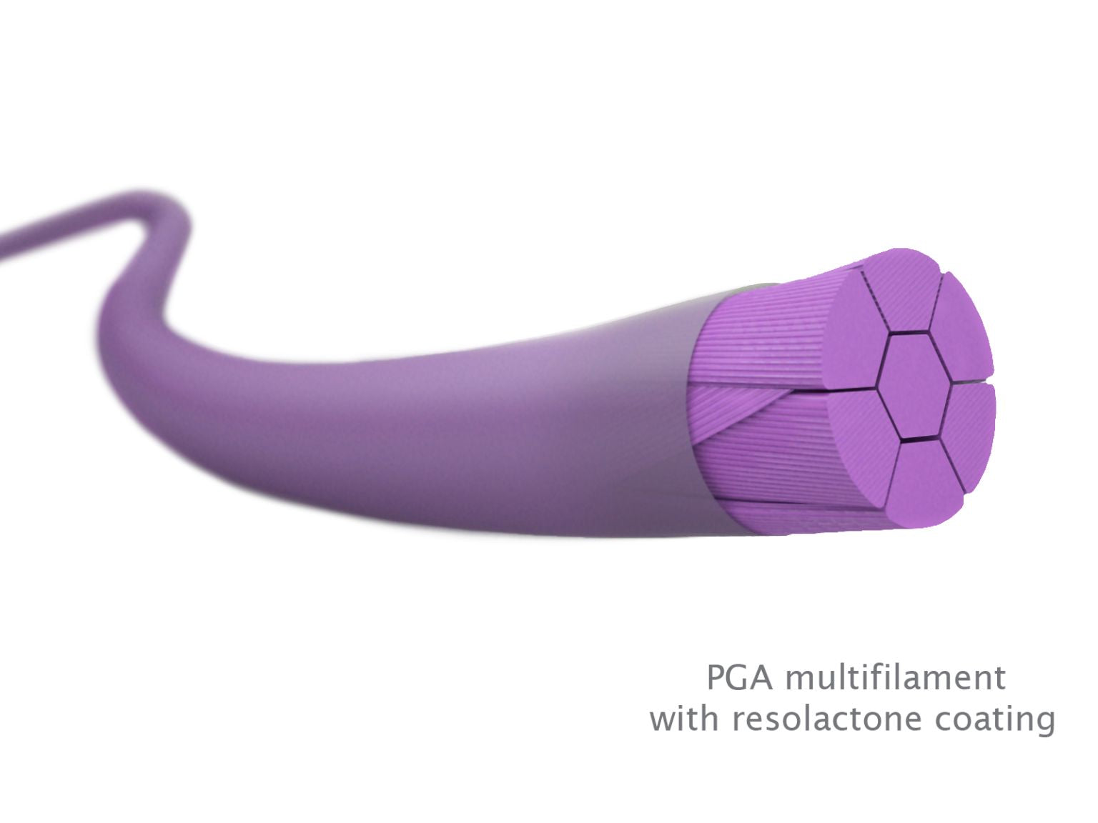 Close-up of a violet Resorba PGA Suture, an absorbable braided dental suture with six internal strands and resorlactone coating, commonly used in periodontal procedures. Brand: Resorba.